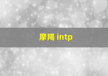 摩羯 intp